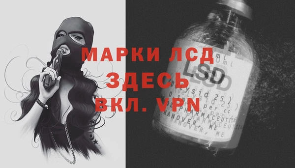 apvp Алексин