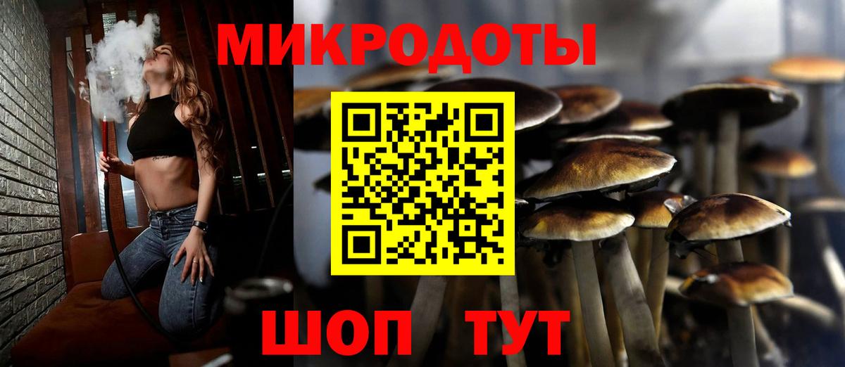 Галлюциногенные грибы Cubensis Родники