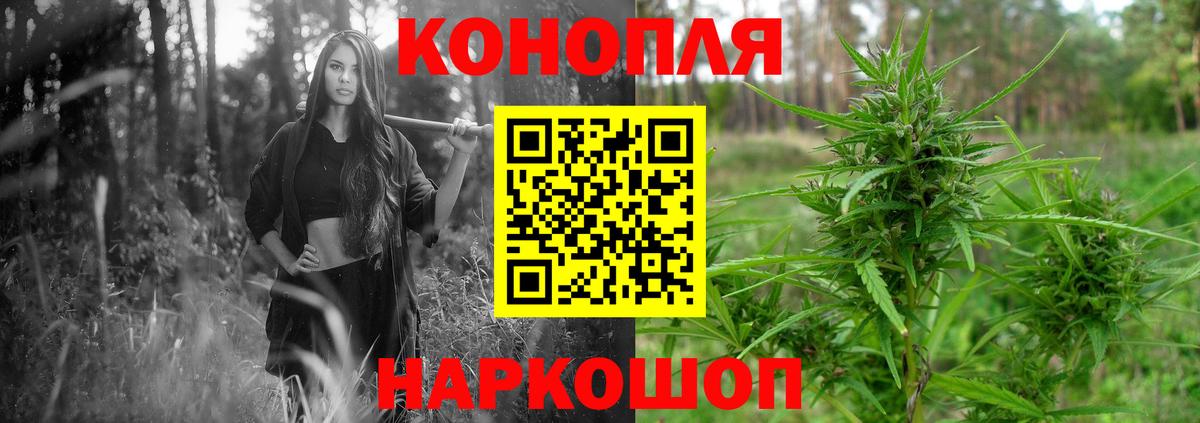 Конопля план  Канабис Ganja  Вход с VPN  Родники  Конопля Amnesia 